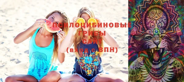 2c-b Надым