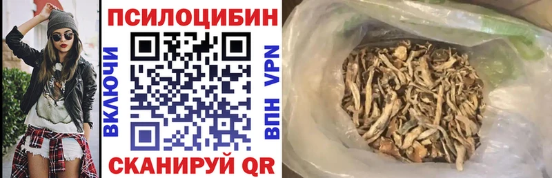 цена наркотик  Кореновск  Псилоцибиновые грибы Psilocybe 