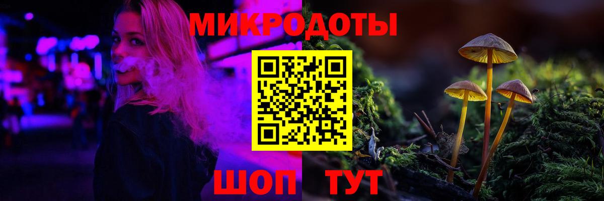 дарнет шоп  Вход с VPN  Кореновск  Псилоцибиновые грибы мицелий 